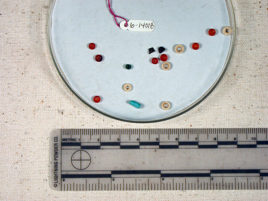 Hearst Museum object titled Beads, accession number 6-14018, described as Beads: 9 carnelian discs, 5 white shell discs, 1 blue cylindrical. [inv.: 7 carnelian, 2 faience, 5 ostrich shell, original piece count: 15?]