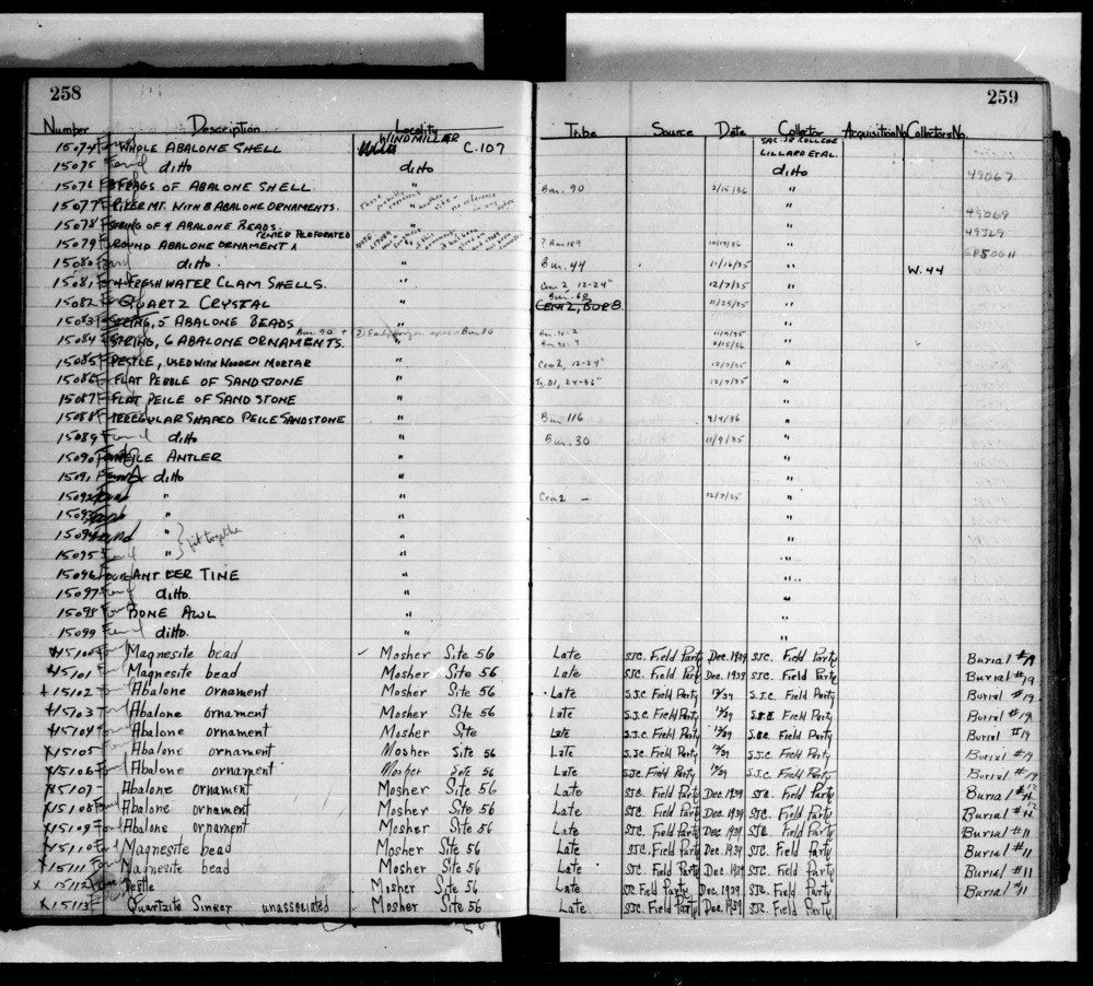 Documentation associated with Hearst Museum object titled Abalone shell fragments, accession number L-15076, no description available.