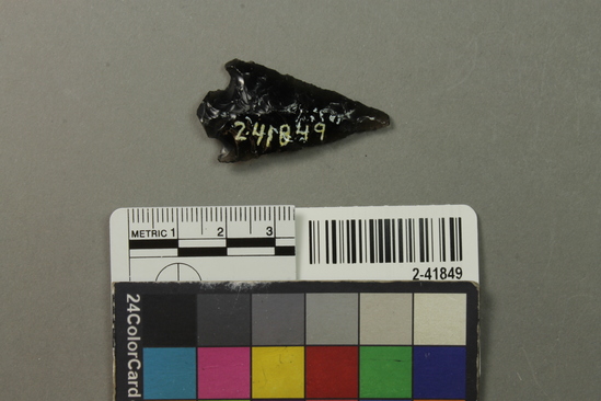 Hearst Museum object titled Projectile point, accession number 2-41849, described as No description given on catalog card.