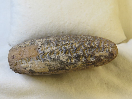 Hearst Museum object 11 of 187 titled Cuneiform tablet, accession number 9-2919, described as Mesopotamian cuneiform tablet