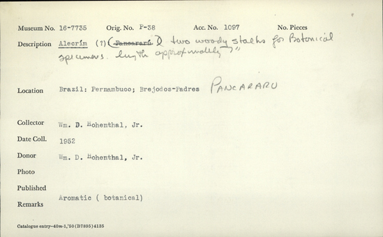 Documentation associated with Hearst Museum object titled Wood fragment, accession number 16-7735, described as Alecrim (?) two woody stalks for Botanical specimens length approximately 7 inches