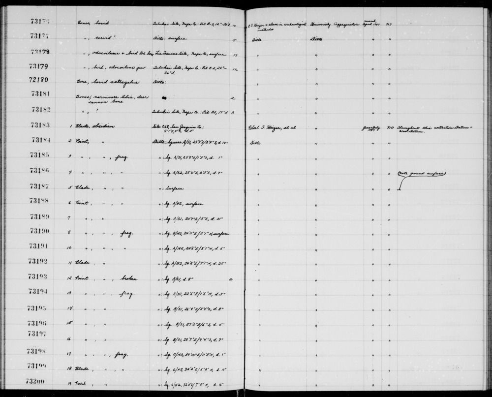 Documentation associated with Hearst Museum object titled Blade, accession number 1-73192, described as Obsidian blade.