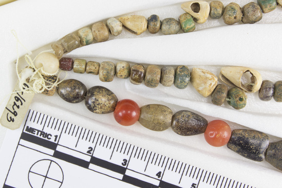 Hearst Museum object 1 of 10 titled Beads, accession number 6-16293, described as Beads: string of shell, carnelian, green stone amethyst, various shapes, l  62 cm. open.