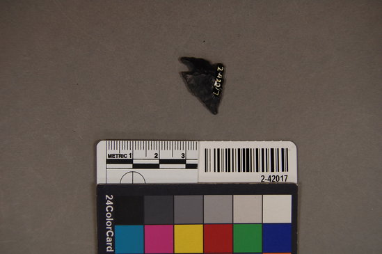 Hearst Museum object titled Projectile point, accession number 2-42017, described as No description given on catalog card.