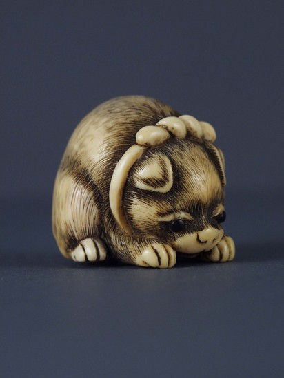 Hearst Museum object 4 of 4 titled Netsuke, accession number 9-7484, described as Netsuke: puppy with head between his paws. Wears ribbon collar. Notice: Image restricted due to its potentially sensitive nature. Contact Museum to request access.