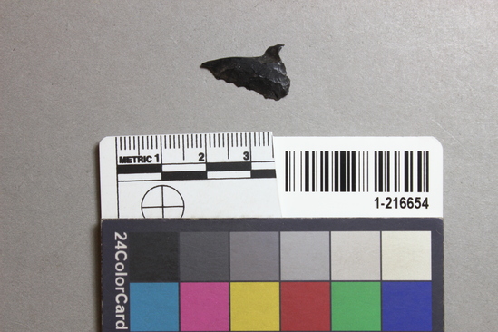 Hearst Museum object titled Projectile point fragment, accession number 1-216654, described as Projectile point fragment.