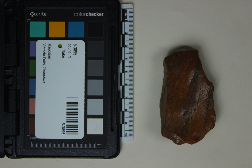 Hearst Museum object 2 of 2 titled Flake, accession number 5-3895, described as Chert primary flake; “rolled”