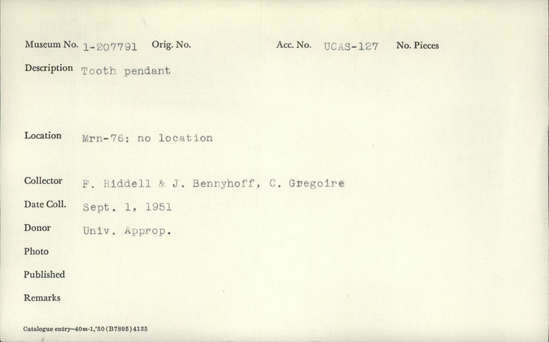 Documentation associated with Hearst Museum object titled Faunal remains, accession number 1-207791, described as Tooth.