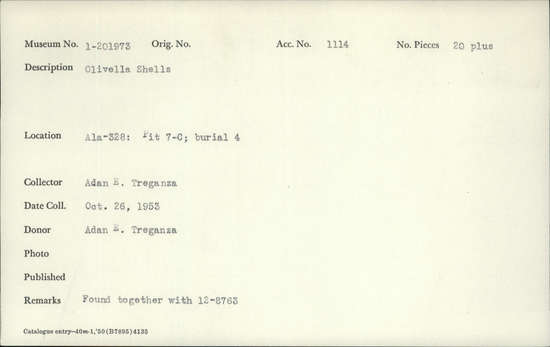 Documentation associated with Hearst Museum object titled Bead, accession number 1-201973, described as Olivella shell beads. Middle culture period Alameda district, coastal and bay Notice: Image restricted due to its potentially sensitive nature. Contact Museum to request access.