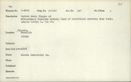 Documentation associated with Hearst Museum object titled Zoomorph, accession number 2-6020, described as Carved ivory figure of wolverine or fox-like animal.  Band of red-filled chevrons down back.  Made of walrus ivory.