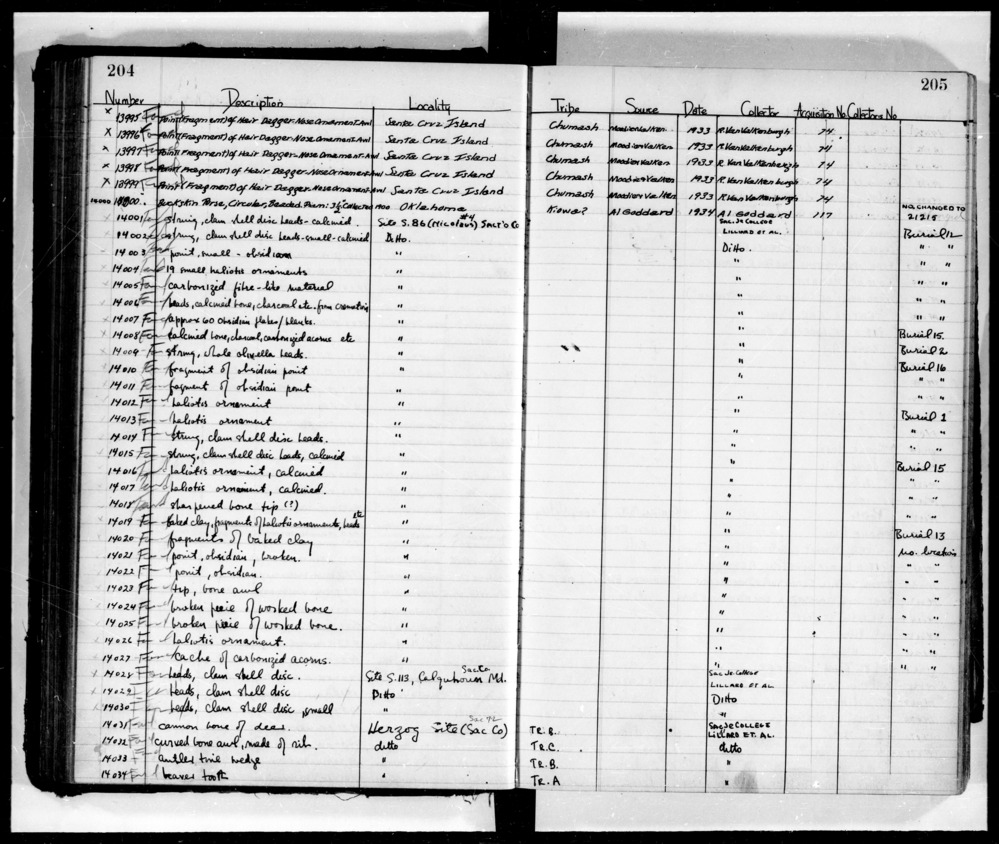 Documentation associated with Hearst Museum object titled Acorns, accession number L-14027, described as Cache of acorns.