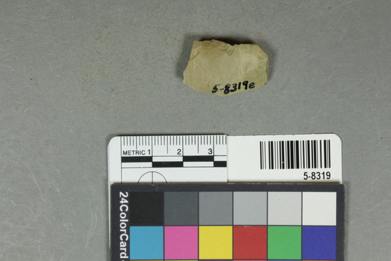 Hearst Museum object 21 of 25 titled Flakes, accession number 5-8319, described as Chert flakes