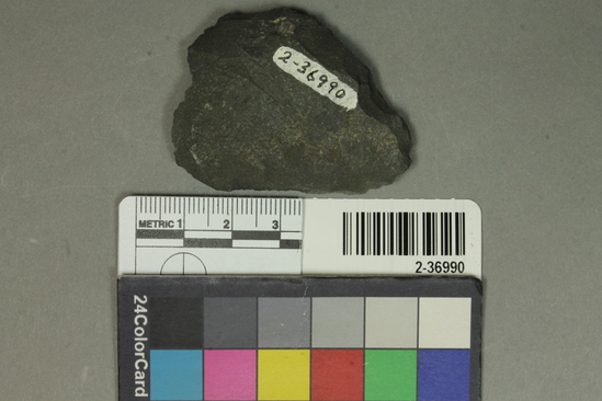 Hearst Museum object titled Flake, accession number 2-36990, described as Plano-covex scraper; basalt