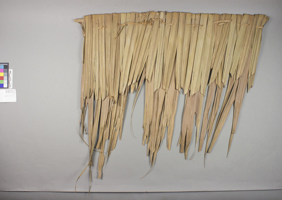Hearst Museum object 2 of 2 titled Shingle, accession number 10-109, described as Folded over stick and stitched nipa palm leaf, shingle for thatching; max. 23 inches long.