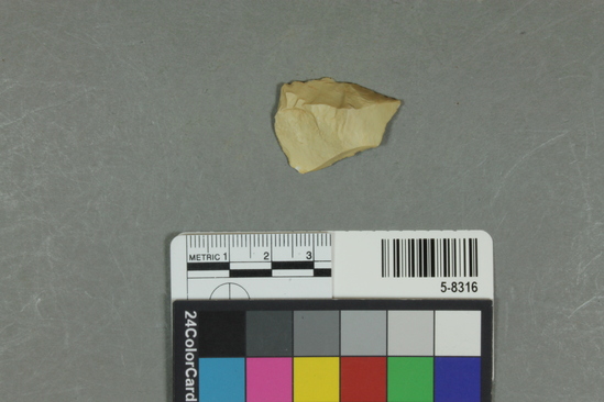 Hearst Museum object titled Flake, accession number 5-8316, described as Flake; pointed; bulb removed; length 3.1 cm