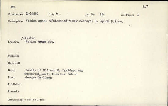 Documentation associated with Hearst Museum object titled Spool, accession number 2-19557, described as Wooden spool with attached sinew cordage.