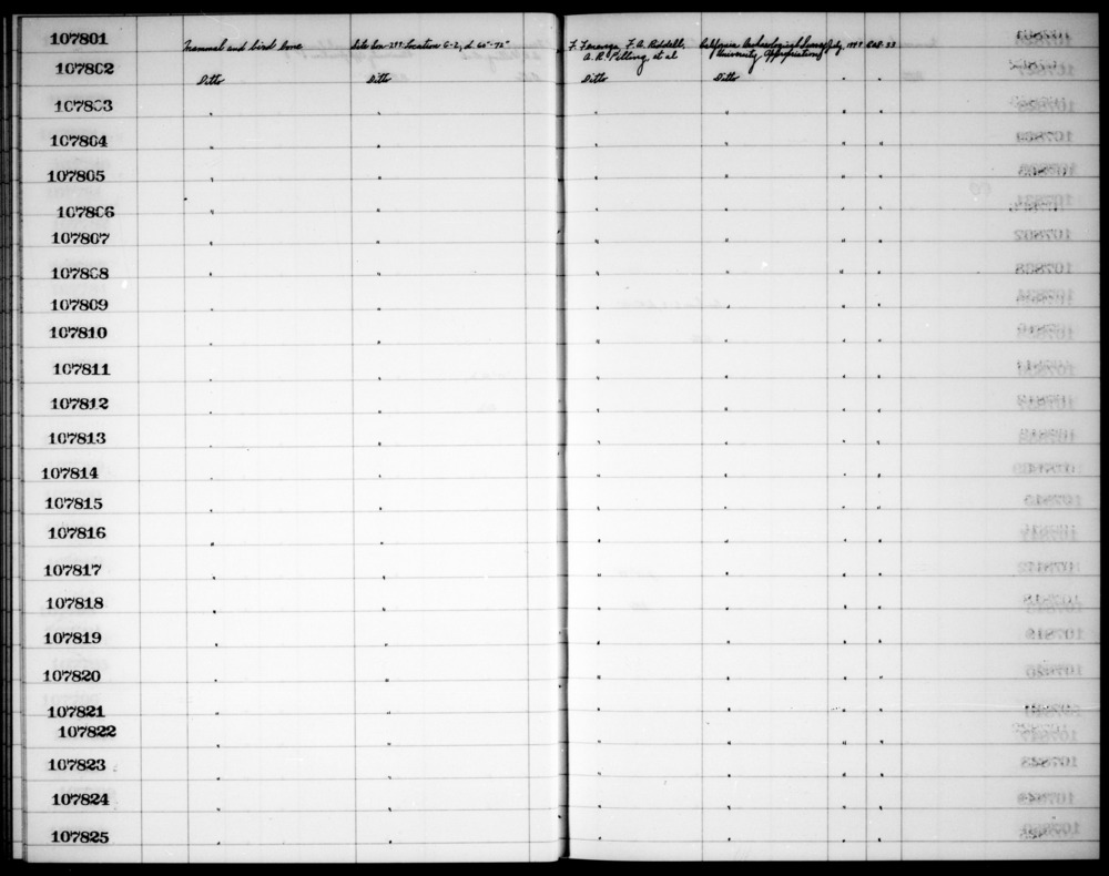 Documentation associated with Hearst Museum object titled Faunal remains, accession number 1-107803, described as Mammal and bird bone.