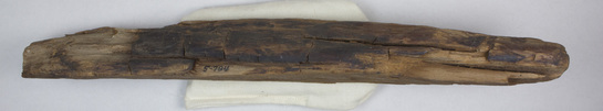 Hearst Museum object titled Wood, accession number 5-794, described as Cedar fragment, ca. 4000 years old, from interior of Sneferu Pyramid