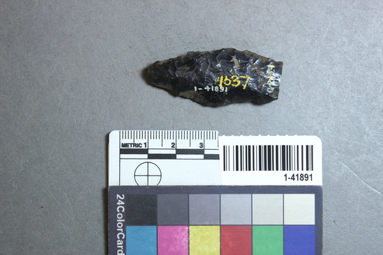 Hearst Museum object titled Knife, accession number 1-41891, described as Obsidian, fragment