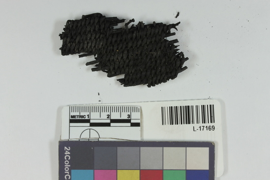 Hearst Museum object 13 of 16 titled Beaded basketry fragment, accession number L-17169, described as charred basketry in Riker mount.