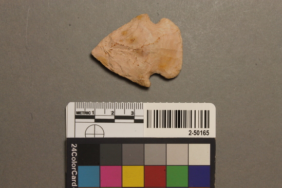 Hearst Museum object titled Projectile point, accession number 2-50165, described as Projectile point