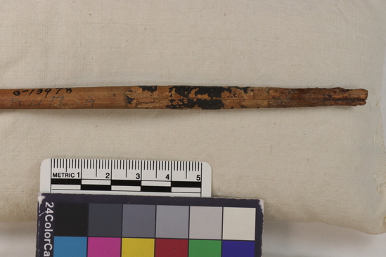 Hearst Museum object 3 of 3 titled Stick, accession number 6-13978, described as Pointed stick of wood; black band.