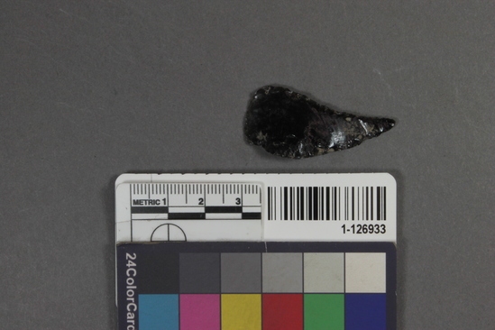 Hearst Museum object titled Point, accession number 1-126933, described as Chipped point, curved.