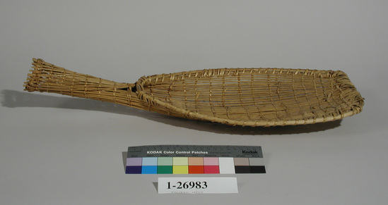 Hearst Museum object titled Seed beater, accession number 1-26983, described as Basketry seed beater.