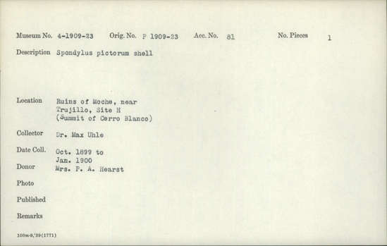 Documentation associated with Hearst Museum object titled Shell, accession number 4-1916, described as Spondylus pictorum shell.