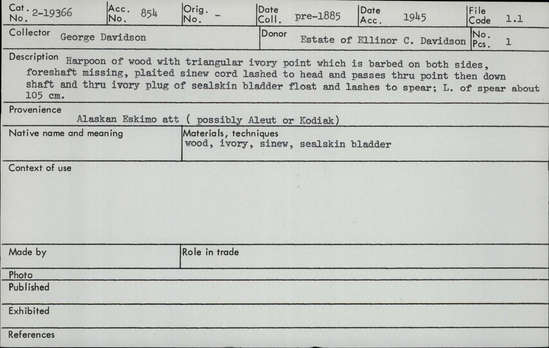 Documentation associated with Hearst Museum object titled Harpoon, accession number 2-19366, described as Harpoon of wood with triangular ivory point which is barbed on both sides. Foreshaft missing, plaited sinew cord lashed to head. The cord passes through point then down shaft and through ivory plug of sealskin bladder float, then lashes to spear.