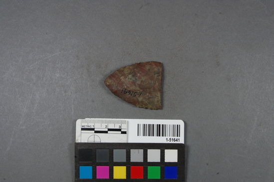 Hearst Museum object titled Projectile point, accession number 1-51641, described as Arrow point fragment, Franciscan chert.