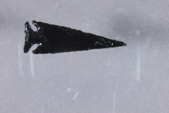 Hearst Museum object titled Projectile point, accession number 1-19520, described as Obsidian arrow point