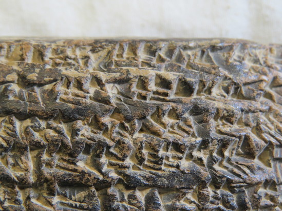 Hearst Museum object 22 of 187 titled Cuneiform tablet, accession number 9-2919, described as Mesopotamian cuneiform tablet