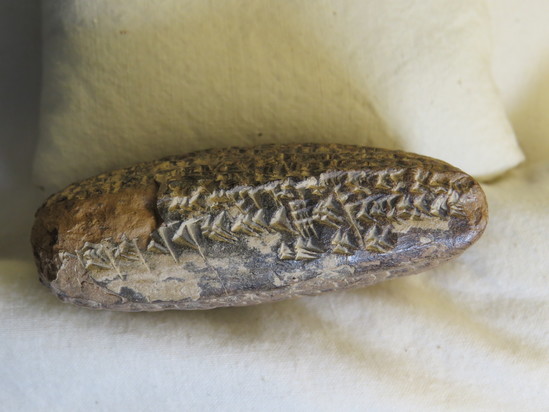 Hearst Museum object 100 of 187 titled Cuneiform tablet, accession number 9-2919, described as Mesopotamian cuneiform tablet