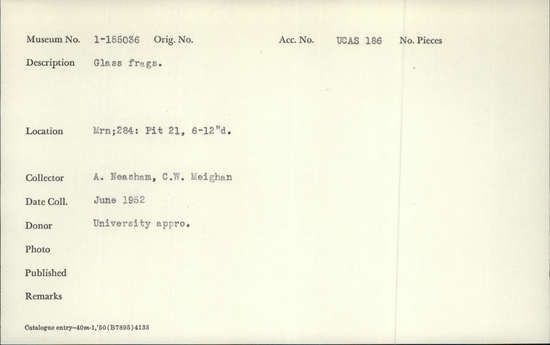 Documentation associated with Hearst Museum object titled Glass fragments, accession number 1-155036, described as Glass fragments. Notice: Image restricted due to its potentially sensitive nature. Contact Museum to request access.