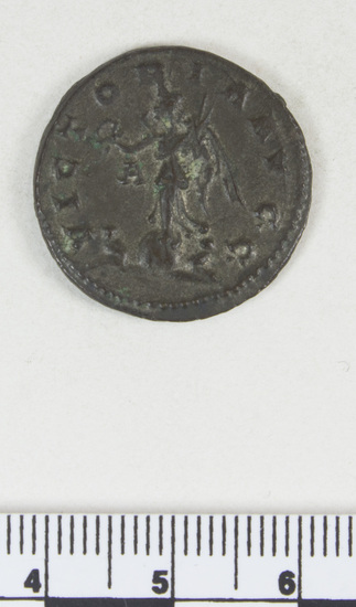 Hearst Museum object 6 of 10 titled Coin: billon antoninianus, accession number 8-4388, described as Coin; Billon; Antoninianus; Roman. 4.76 grams, 23 mm. Carus, 282-285 AD. Lyon, France. Obverse: IMP C M AVR CARVS AVG, bust r. radiate, cuirassed. Reverse: VICTORIA AVGG, Victory l. on globe between two captives; to l., A.