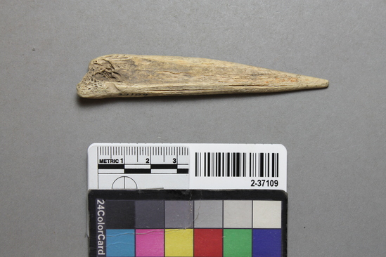 Hearst Museum object titled Awl, accession number 2-37109, described as Bone awl; one sharpened tip; 9.7 cm x 2 cm.