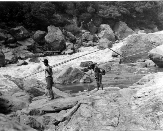 Hearst Museum object titled Photograph, accession number 13-2435, described as Prob. Amaikiara; fishing.