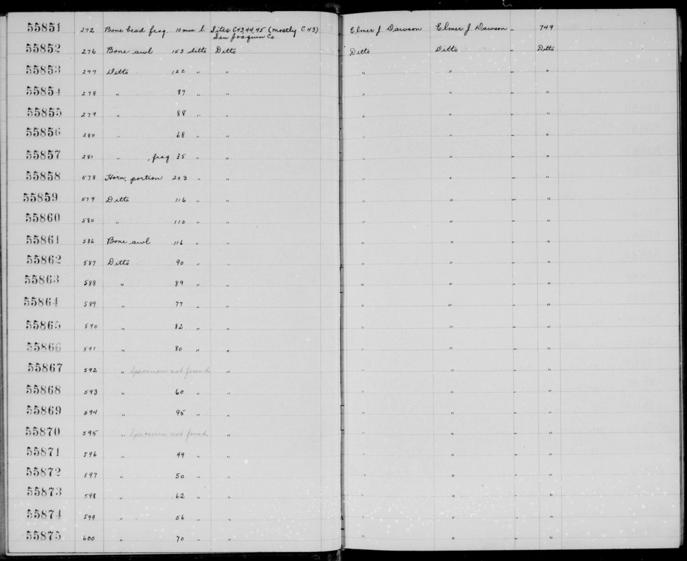 Documentation associated with Hearst Museum object titled Awl, accession number 1-55853, described as bone awl; 122mm long