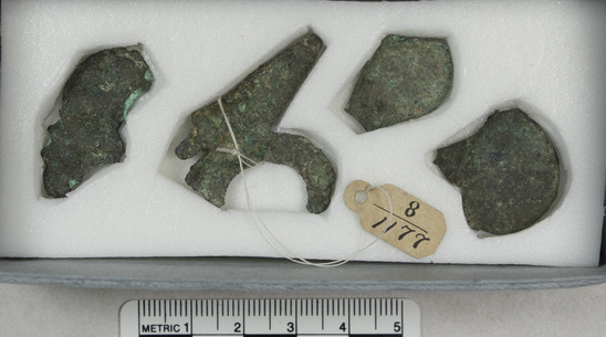 Hearst Museum object titled Ornaments, accession number 8-1177, described as Flowers from heads of stem; copper alloy