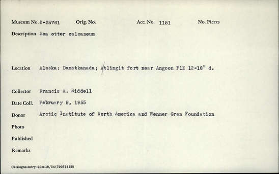 Documentation associated with Hearst Museum object titled Mammal bone, accession number 2-35761, described as Sea otter calcaneum/calcaneus.