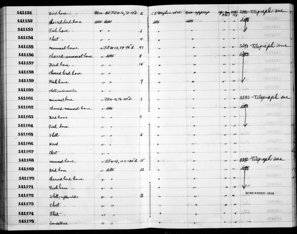 Documentation associated with Hearst Museum object titled Wood, accession number 1-141166, described as wood.