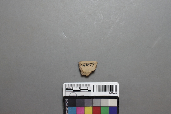 Hearst Museum object titled Potsherd, accession number 1-66449, described as Tumco Buff, jar rim with reinforcing band.