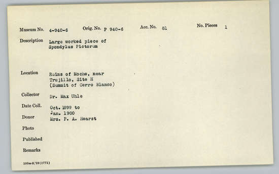 Documentation associated with Hearst Museum object titled Worked shell, accession number 4-944, described as Shell fragment, large worked piece of Spondylus pictorum.