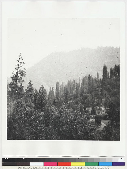 Hearst Museum object titled Black-and-white negative, accession number 15-5556, described as North fork of Tuolumne River