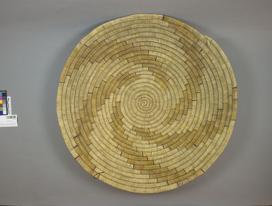 Hearst Museum object 2 of 2 titled Basket, accession number 2-14218, described as Shallow basketry dish with broad flat coils; design in yellow.