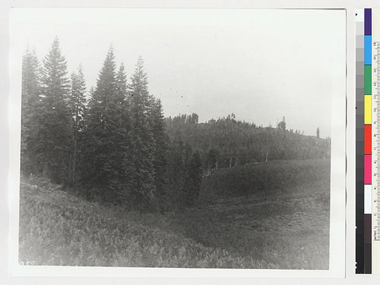 Hearst Museum object titled Black-and-white negative, accession number 15-3050, described as Trinity Summit