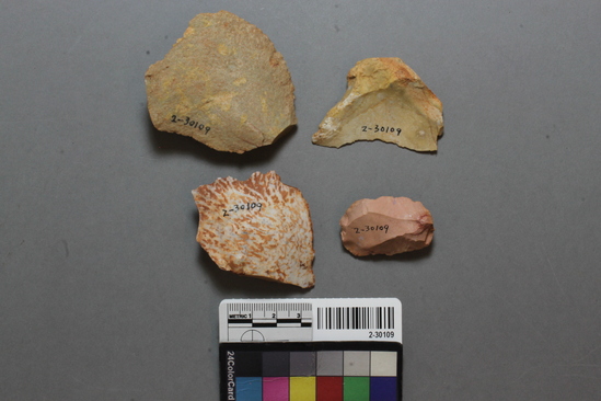 Hearst Museum object titled Flakes, accession number 2-30109, described as Usable flakes, chert and quartzite.