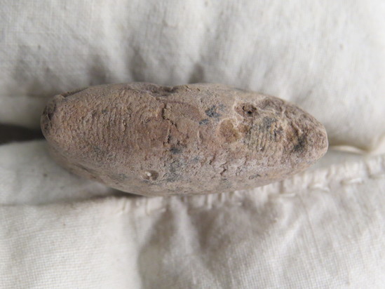 Hearst Museum object 80 of 93 titled Cuneiform tablet, accession number 9-2946, described as Mesopotamian cuneiform tablet