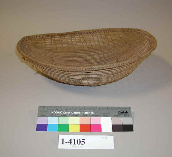 Hearst Museum object titled Tray, accession number 1-4105, described as Tray basket; twined. Warp is Willow (Salix), weft is Grape (Vitus californica). Elliptical plain twined openwork.